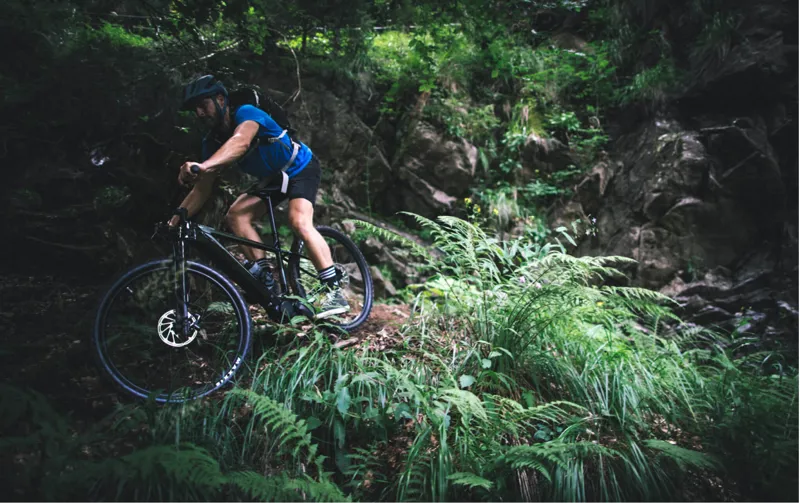 Cannondale trail neo 2 weight online